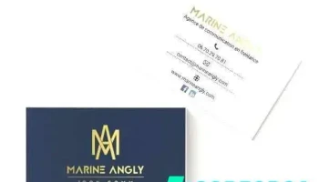 Agence Marine Angly 100% Comm - 255 Rue Martha Desrumaux