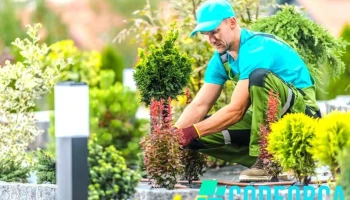 Artus Espaces Verts Sarl - 24200 Carsac-Aillac