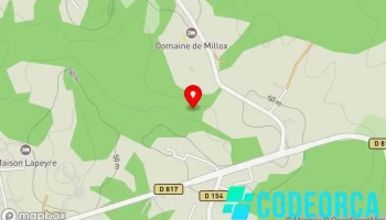 Camilka Com – Bras droit digital animalier - France