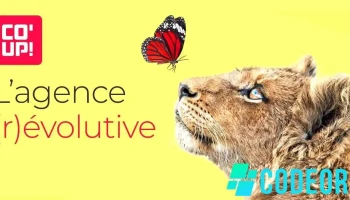 Co'up! - Villeneuve-D'Ascq