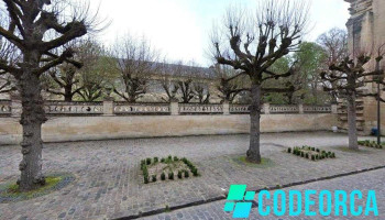 DonCameleon - Agence de communication - Chantilly