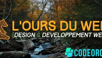 Dupont Antoine - L'Ours du Web - Lacroix-Saint-Ouen