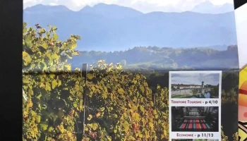 Et-Cetera Pau - Agence Communication Locale - 64000 Pau