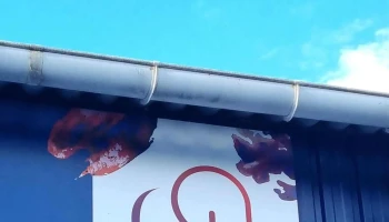 La Stratégie Créative - Montigny-L'Allier