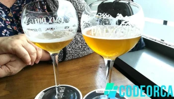 Le Longchamp Bar Pmu - 62370 Audruicq
