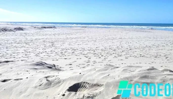 Le Touquet-Paris-Plage - Le Touquet-Paris-Plage