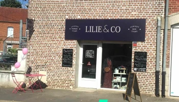 lilie and co - 62580 Neuville-Saint-Vaast