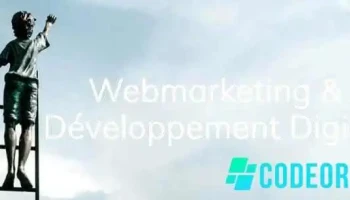 Mds Consultant - France