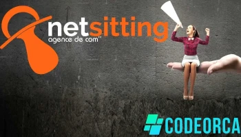 Netsitting - Frelinghien