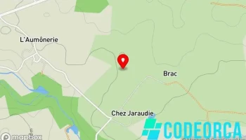 Numoz | Agence Digitale - France