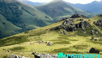Olivier Obé : Consultant Seo au Pays Basque - 64310 Saint-Pée-Sur-Nivelle