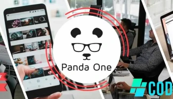 Panda One - 64600 Anglet