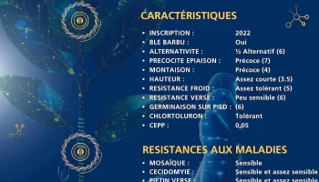 vertcom' - 47200 Marmande