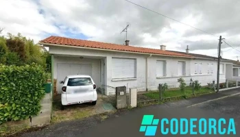 Wladimir Zandt - 79000 Niort