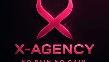 X - Agency - 86300 Chauvigny