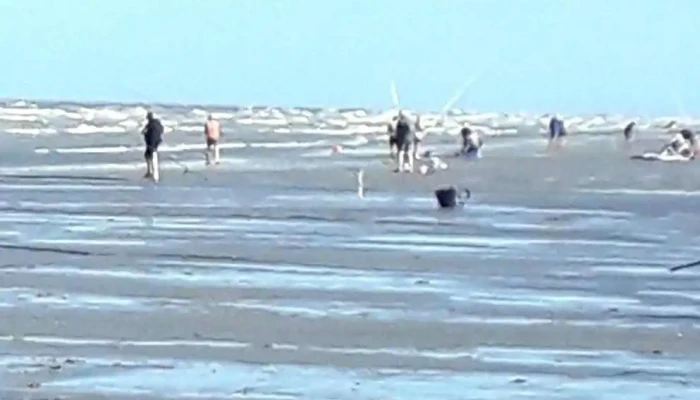 Afman Association Fort Mahonnaise D Activites Nautiques Tout - Fort-mahon-plage