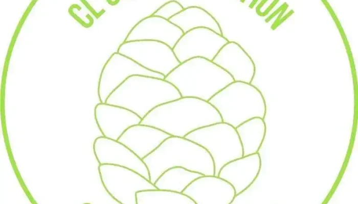 Cl Communication - France