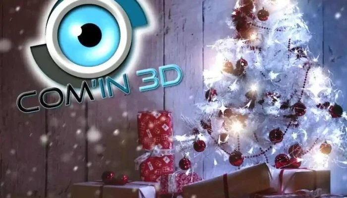 Comin3d Videos - Seclin