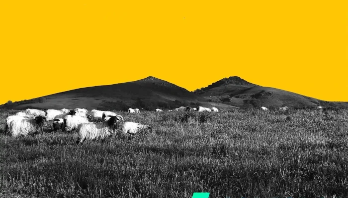 Eila · Communication freelance - France