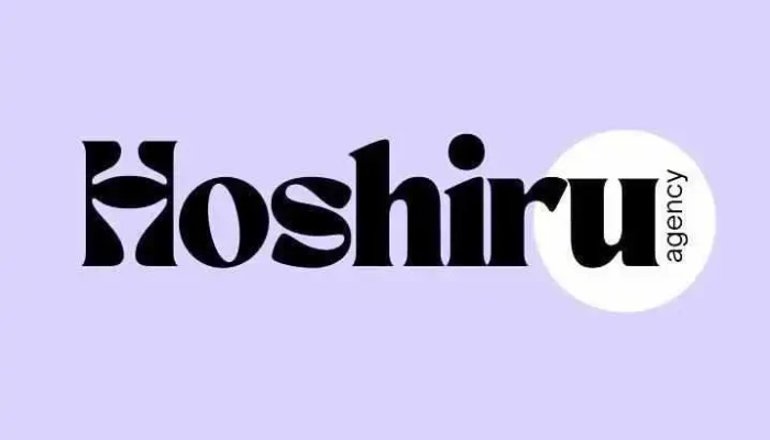 Hoshiru, agence web à Bordeaux - France