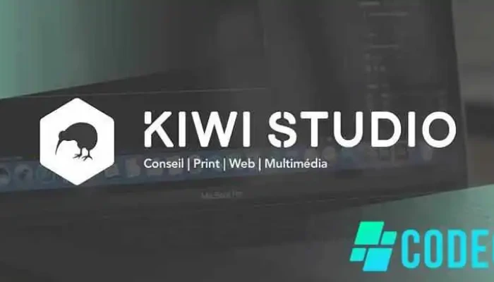Kiwi Studio -  Photos Du Proprietaire - Hem-lenglet