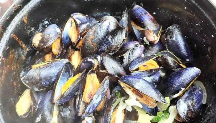 Le Fahrenheits Les Mouettes Moule - Fort-mahon-plage