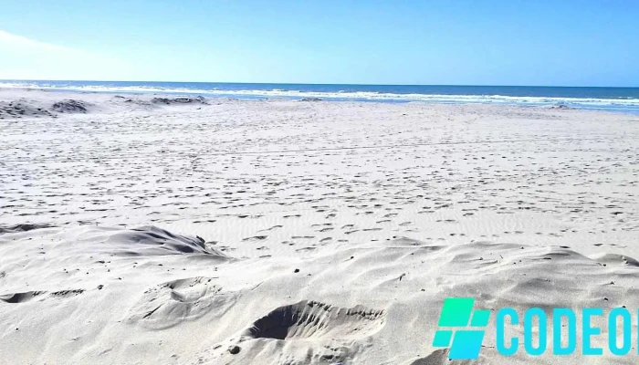 Le Touquet-Paris-Plage - Le Touquet-Paris-Plage