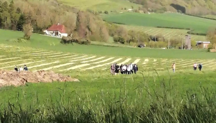 Licques Volailles - Licques