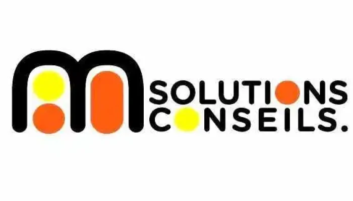 M Solutions Conseils/Accompagnement des dirigeants - France