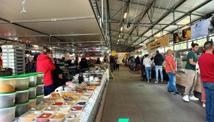 Marché de Bourcefranc-le-Chapus - 17560 Bourcefranc-Le-Chapus
