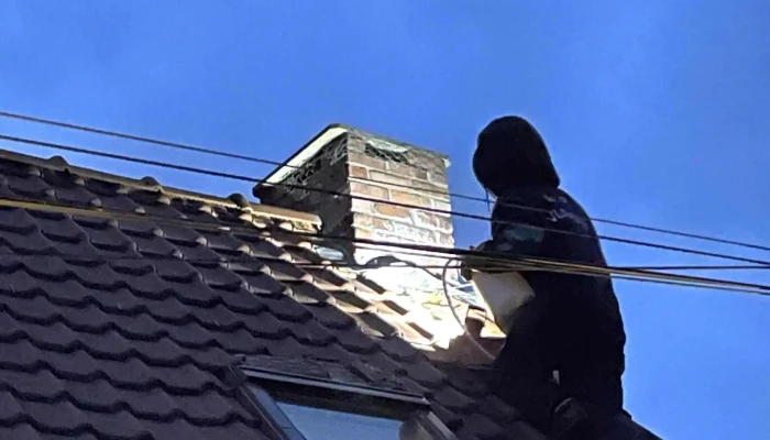 Mp Nuisible -  Service D Extermination Des Nuisibles - Faumont