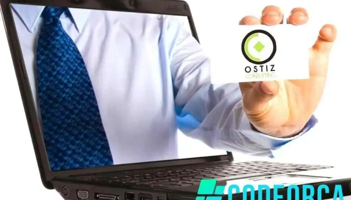 Ostiz Consulting Sarl - France