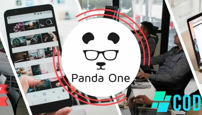 Panda One - 64600 Anglet