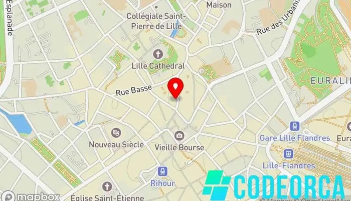 Section 4 -  Carte - Lille