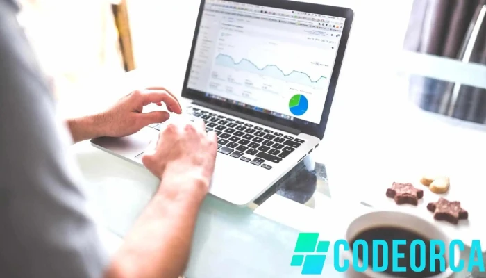 Seo 17 - Consultant Seo Freelance - France