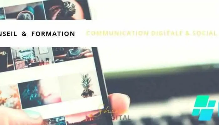 Shine Digital - Prestations et Formation en communication digitale (Centre de formation certifié Qualiopi) - 64360 Monein