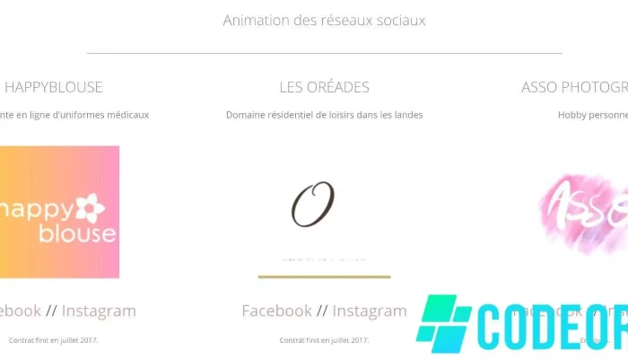 Sophie Andrieu - Stratégie WebMarketing Seo Sea - 33130 Bègles