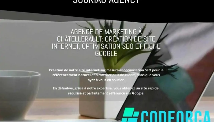 Souriau agency - France