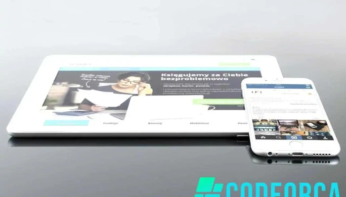 Thomas Deroubaix - Concepteur de sites web - France