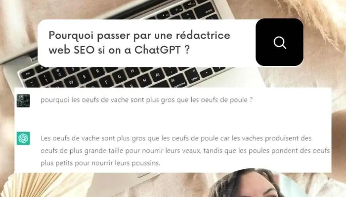 Vm Rédaction Web - 33130 Bègles